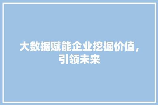 大数据赋能企业挖掘价值，引领未来