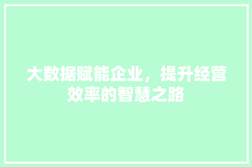 大数据赋能企业，提升经营效率的智慧之路