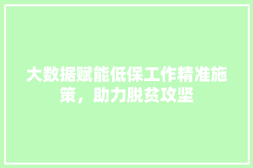 大数据赋能低保工作精准施策，助力脱贫攻坚 电脑配置