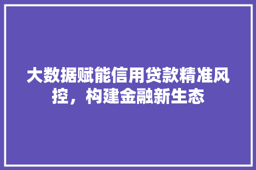 大数据赋能信用贷款精准风控，构建金融新生态