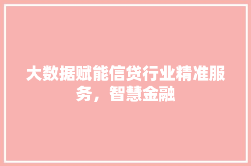 大数据赋能信贷行业精准服务，智慧金融 网络技术