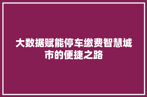 大数据赋能停车缴费智慧城市的便捷之路 操作系统