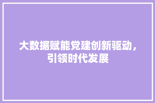 大数据赋能党建创新驱动，引领时代发展 网络技术