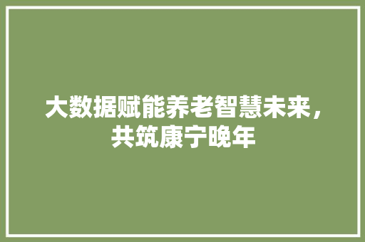 大数据赋能养老智慧未来，共筑康宁晚年 网络技术