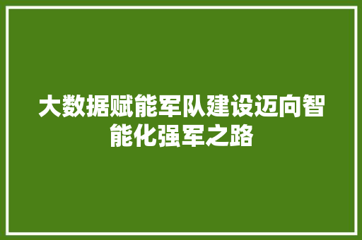大数据赋能军队建设迈向智能化强军之路 编程语言 大数据赋能军队建设迈向智能化强军之路 编程语言
