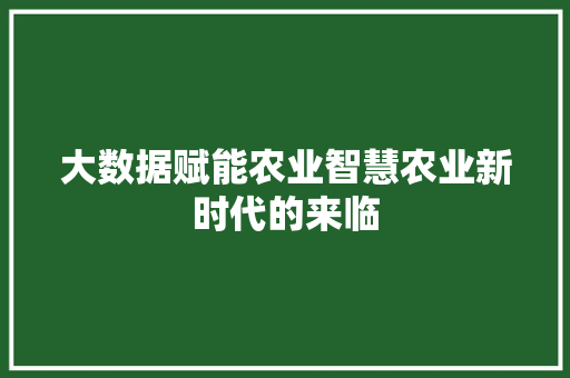 大数据赋能农业智慧农业新时代的来临