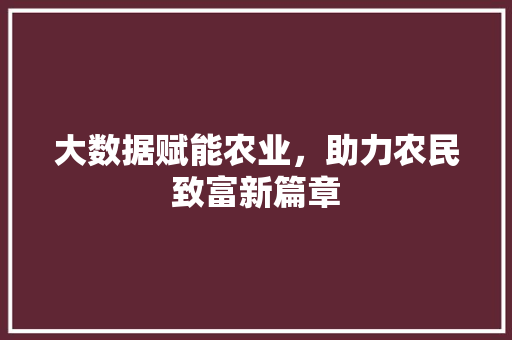 大数据赋能农业，助力农民致富新篇章 电脑基础
