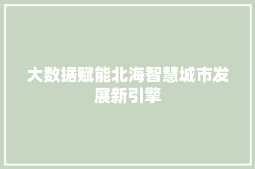 大数据赋能北海智慧城市发展新引擎 操作系统