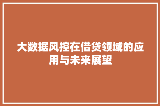 大数据风控在借贷领域的应用与未来展望