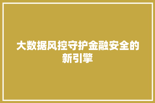大数据风控守护金融安全的新引擎