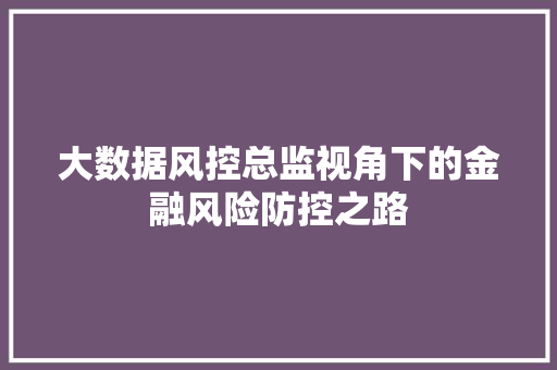 大数据风控总监视角下的金融风险防控之路