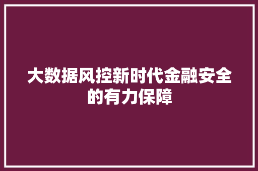 大数据风控新时代金融安全的有力保障