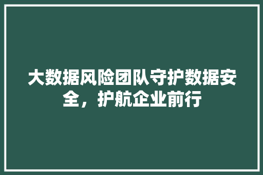 大数据风险团队守护数据安全，护航企业前行