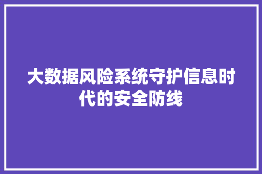 大数据风险系统守护信息时代的安全防线