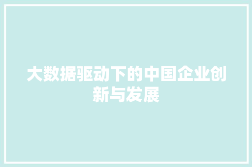 大数据驱动下的中国企业创新与发展 大数据驱动下的中国企业创新与发展