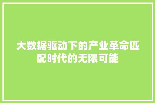大数据驱动下的产业革命匹配时代的无限可能