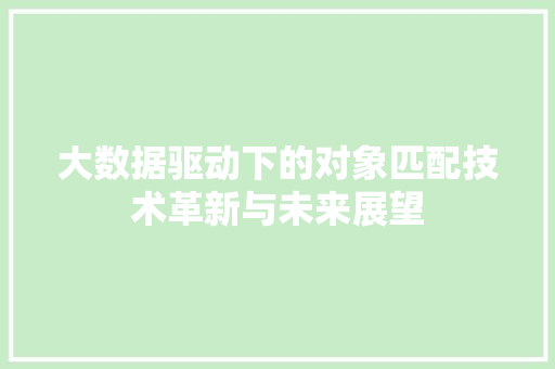 大数据驱动下的对象匹配技术革新与未来展望