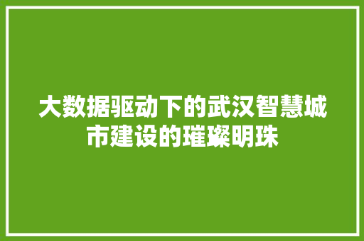 大数据驱动下的武汉智慧城市建设的璀璨明珠