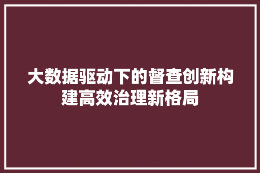 大数据驱动下的督查创新构建高效治理新格局