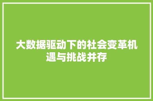 大数据驱动下的社会变革机遇与挑战并存