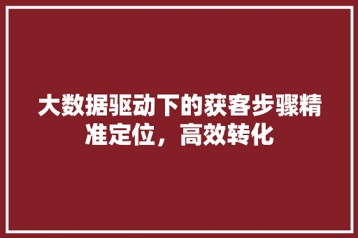 大数据驱动下的获客步骤精准定位，高效转化