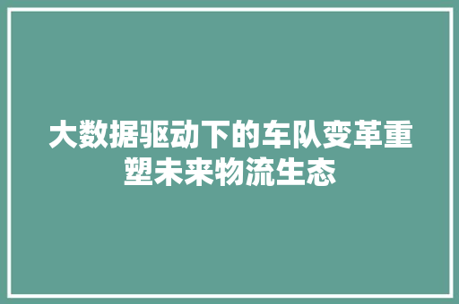 大数据驱动下的车队变革重塑未来物流生态