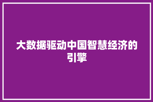 大数据驱动中国智慧经济的引擎
