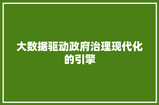 大数据驱动政府治理现代化的引擎
