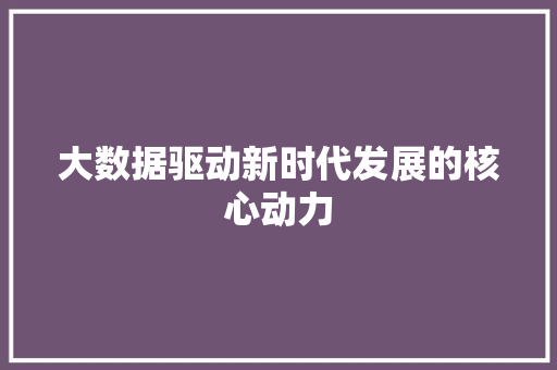 大数据驱动新时代发展的核心动力