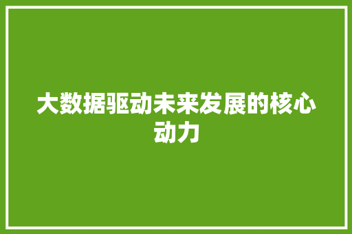 大数据驱动未来发展的核心动力 大数据驱动未来发展的核心动力