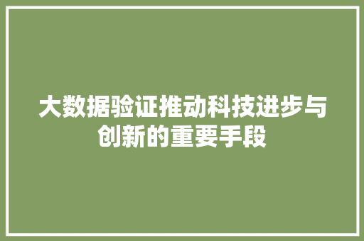 大数据验证推动科技进步与创新的重要手段