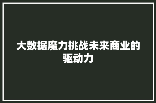 大数据魔力挑战未来商业的驱动力