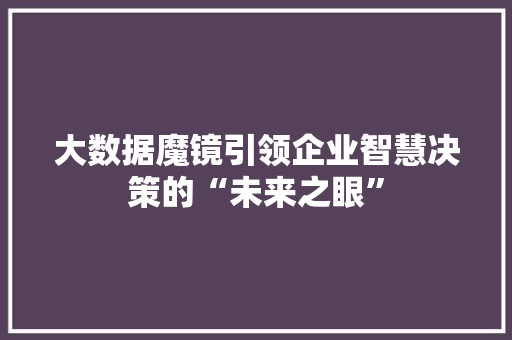 大数据魔镜引领企业智慧决策的“未来之眼”