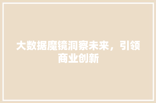 大数据魔镜洞察未来，引领商业创新