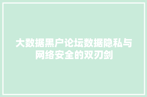 大数据黑户论坛数据隐私与网络安全的双刃剑
