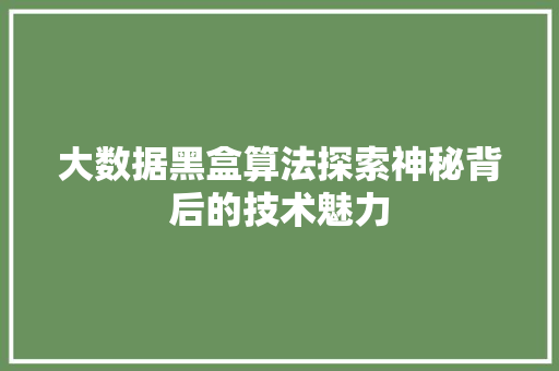 大数据黑盒算法探索神秘背后的技术魅力