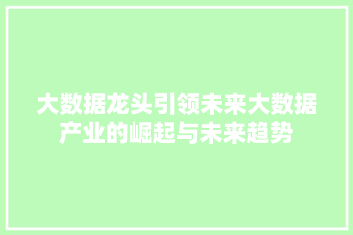 大数据龙头引领未来大数据产业的崛起与未来趋势