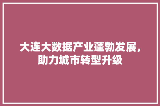 大连大数据产业蓬勃发展，助力城市转型升级