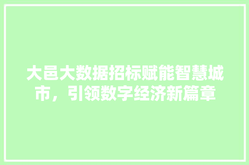 大邑大数据招标赋能智慧城市，引领数字经济新篇章