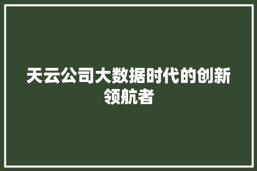 天云公司大数据时代的创新领航者 天云公司大数据时代的创新领航者