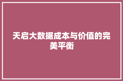 天启大数据成本与价值的完美平衡