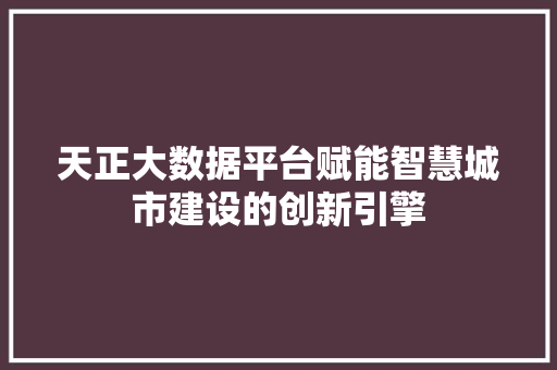天正大数据平台赋能智慧城市建设的创新引擎