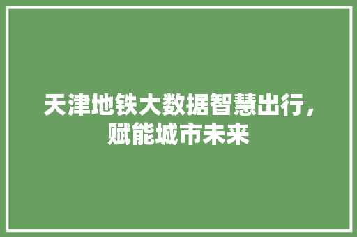 天津地铁大数据智慧出行,赋能城市未来 天津地铁大数据智慧出行,赋能城市未来