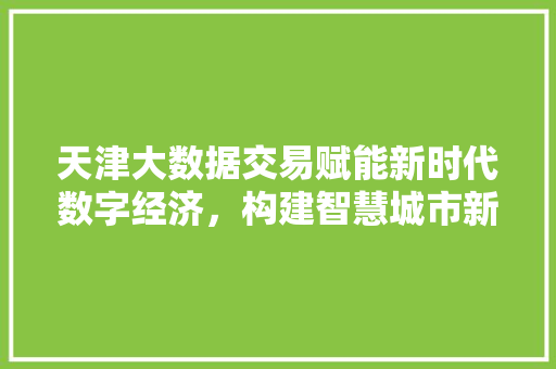 天津大数据交易赋能新时代数字经济,构建智慧城市新蓝图 天津大数据交易赋能新时代数字经济,构建智慧城市新蓝图