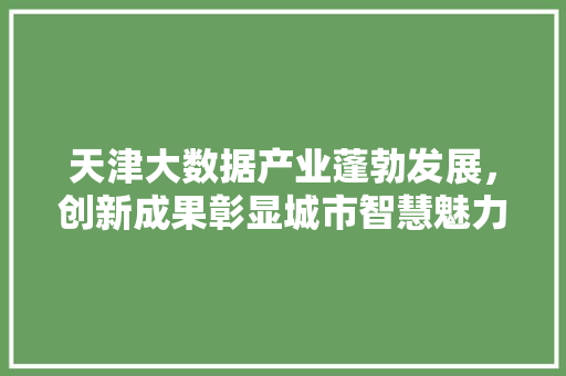 天津大数据产业蓬勃发展,创新成果彰显城市智慧魅力 天津大数据产业蓬勃发展,创新成果彰显城市智慧魅力