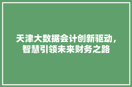 天津大数据会计创新驱动,智慧引领未来财务之路 天津大数据会计创新驱动,智慧引领未来财务之路