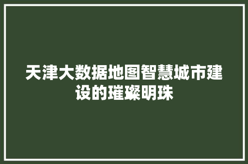天津大数据地图智慧城市建设的璀璨明珠 天津大数据地图智慧城市建设的璀璨明珠