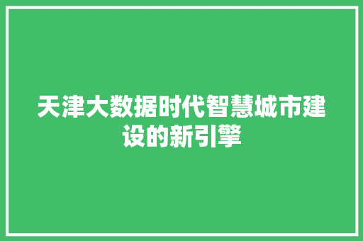 天津大数据时代智慧城市建设的新引擎 天津大数据时代智慧城市建设的新引擎