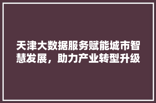 天津大数据服务赋能城市智慧发展,助力产业转型升级 天津大数据服务赋能城市智慧发展,助力产业转型升级