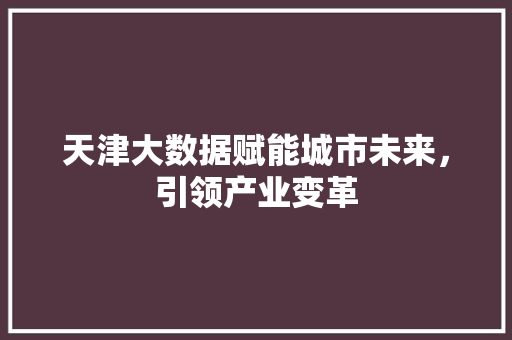 天津大数据赋能城市未来,引领产业变革 天津大数据赋能城市未来,引领产业变革